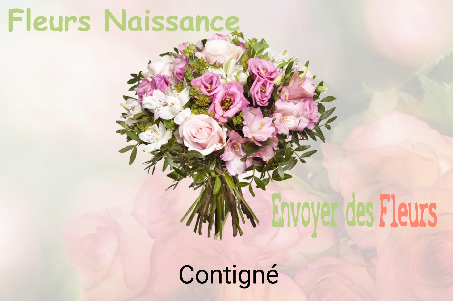 Bouquet de fleurs de naissance livré à Contigné